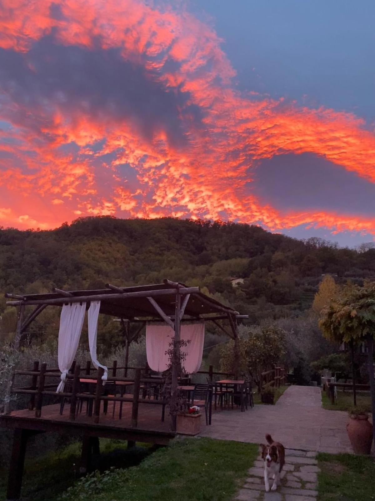 Agriturismo Ca Di Rossi Villa Mulazzo Bagian luar foto
