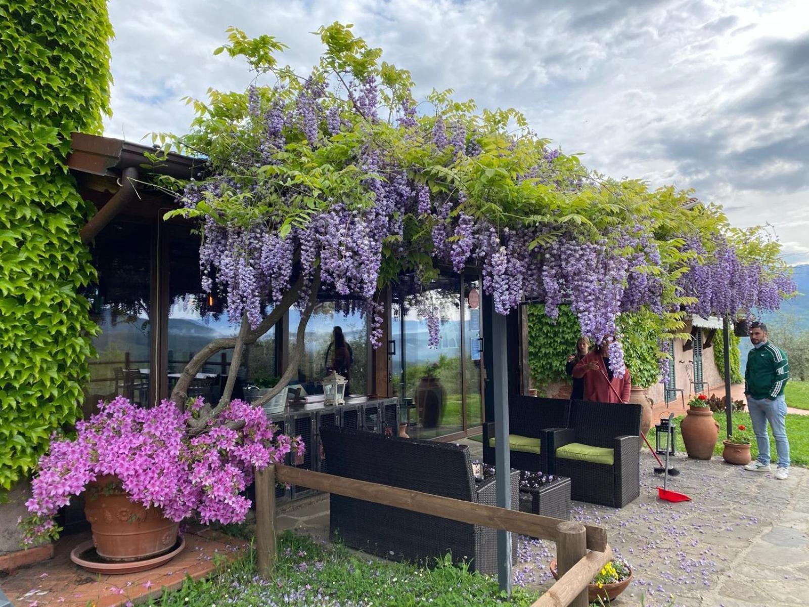 Agriturismo Ca Di Rossi Villa Mulazzo Bagian luar foto