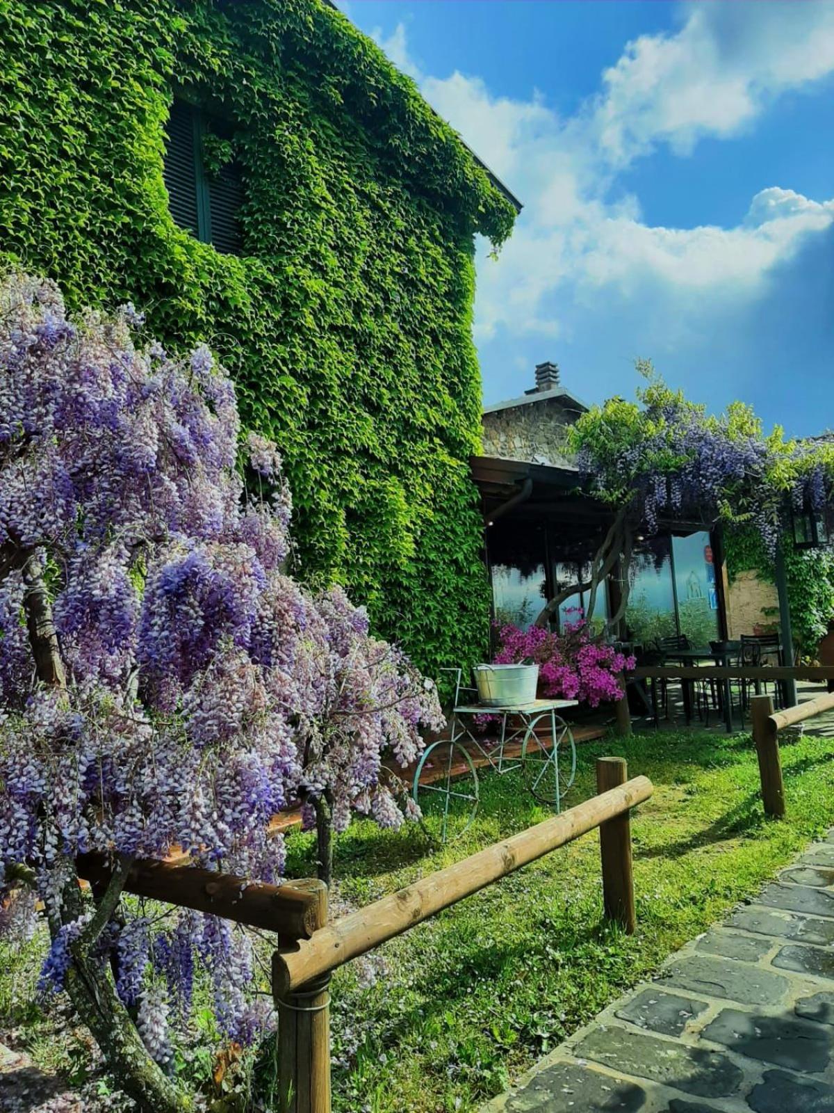 Agriturismo Ca Di Rossi Villa Mulazzo Bagian luar foto